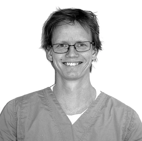 Ansatt - Anders Nohre Berg